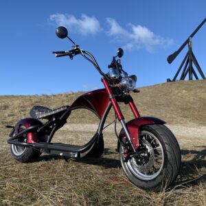 E-Chopper M1P
