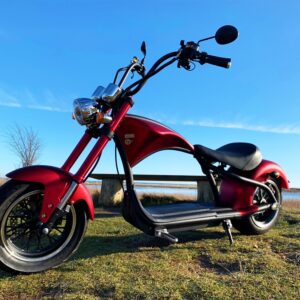 E-Chopper M1